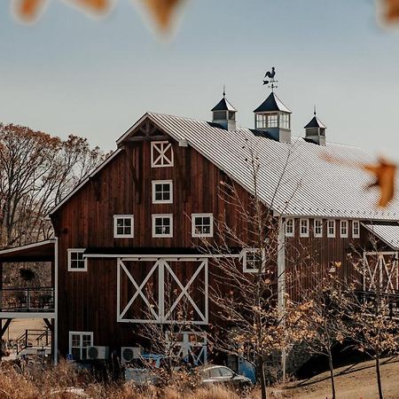 Zion Springs Bed and Breakfast Hamilton Buitenkant foto